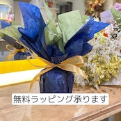 Voi ヘアバター